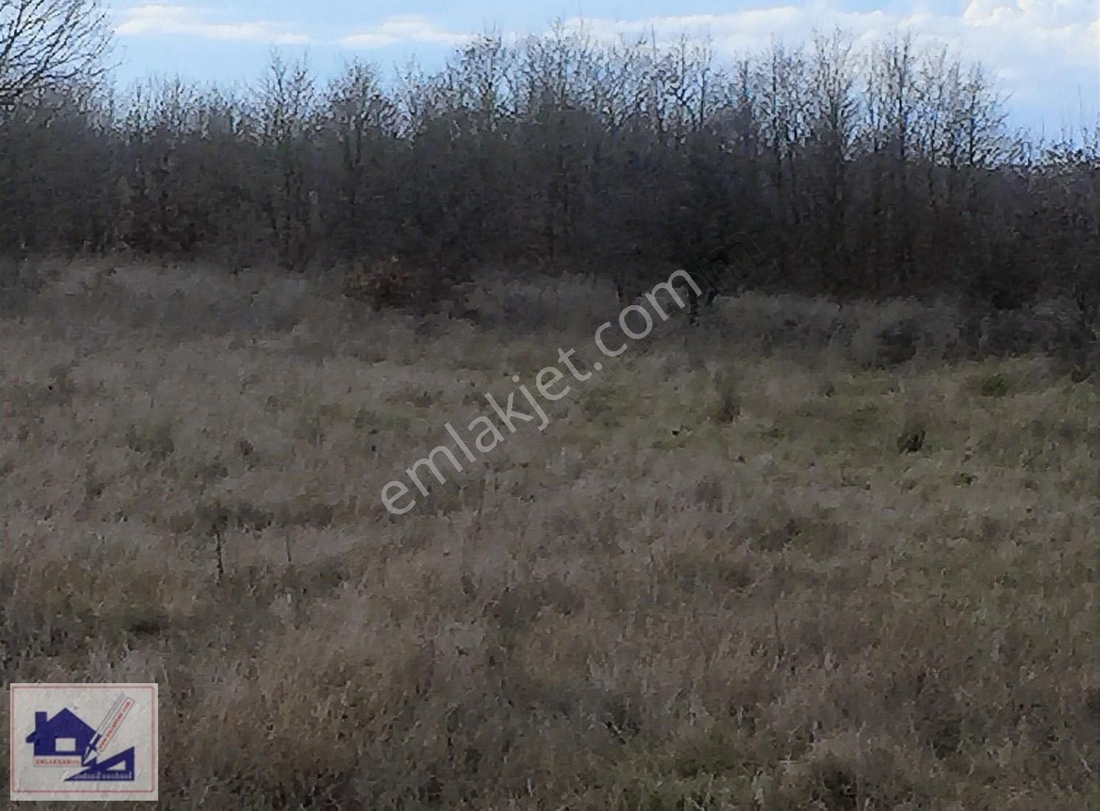 Emlakhan Gyd Silivri Çayırdere'de 467 M2 Çok Acil Satılık Tarla - Görsel 22