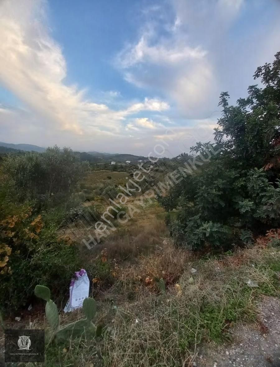 Doğa Harikası Köy İçinde Bulunmaz Fırsat - Görsel 10