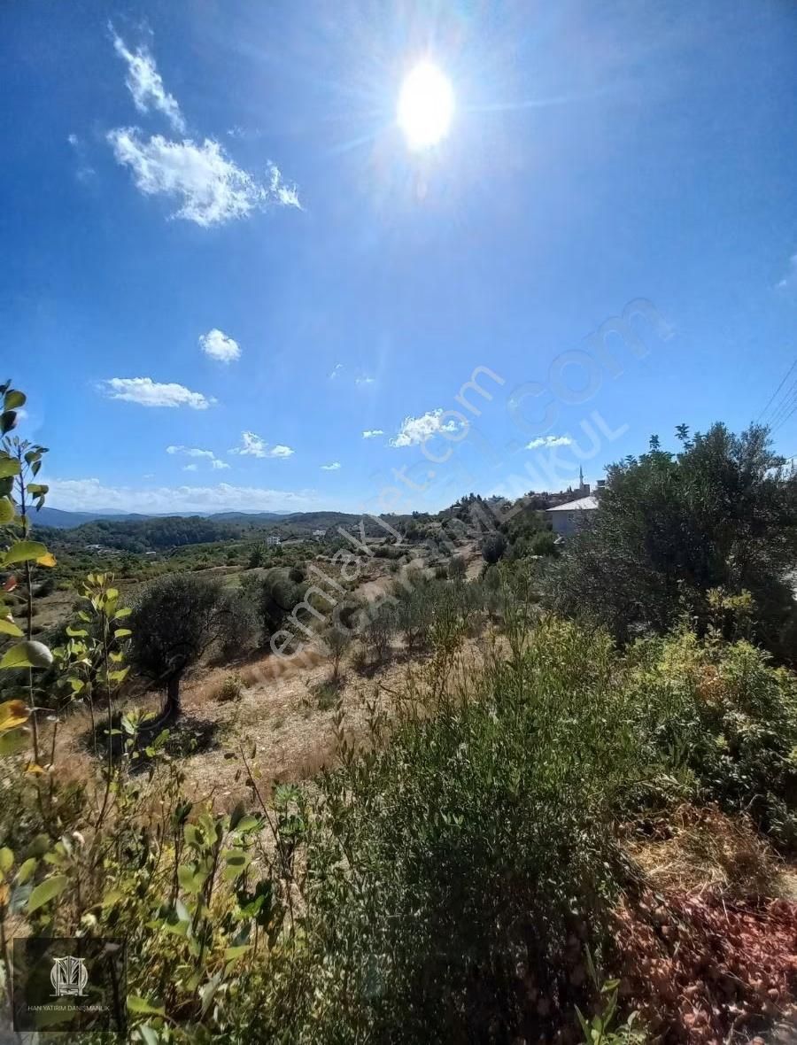 Doğa Harikası Köy İçinde Bulunmaz Fırsat - Görsel 6