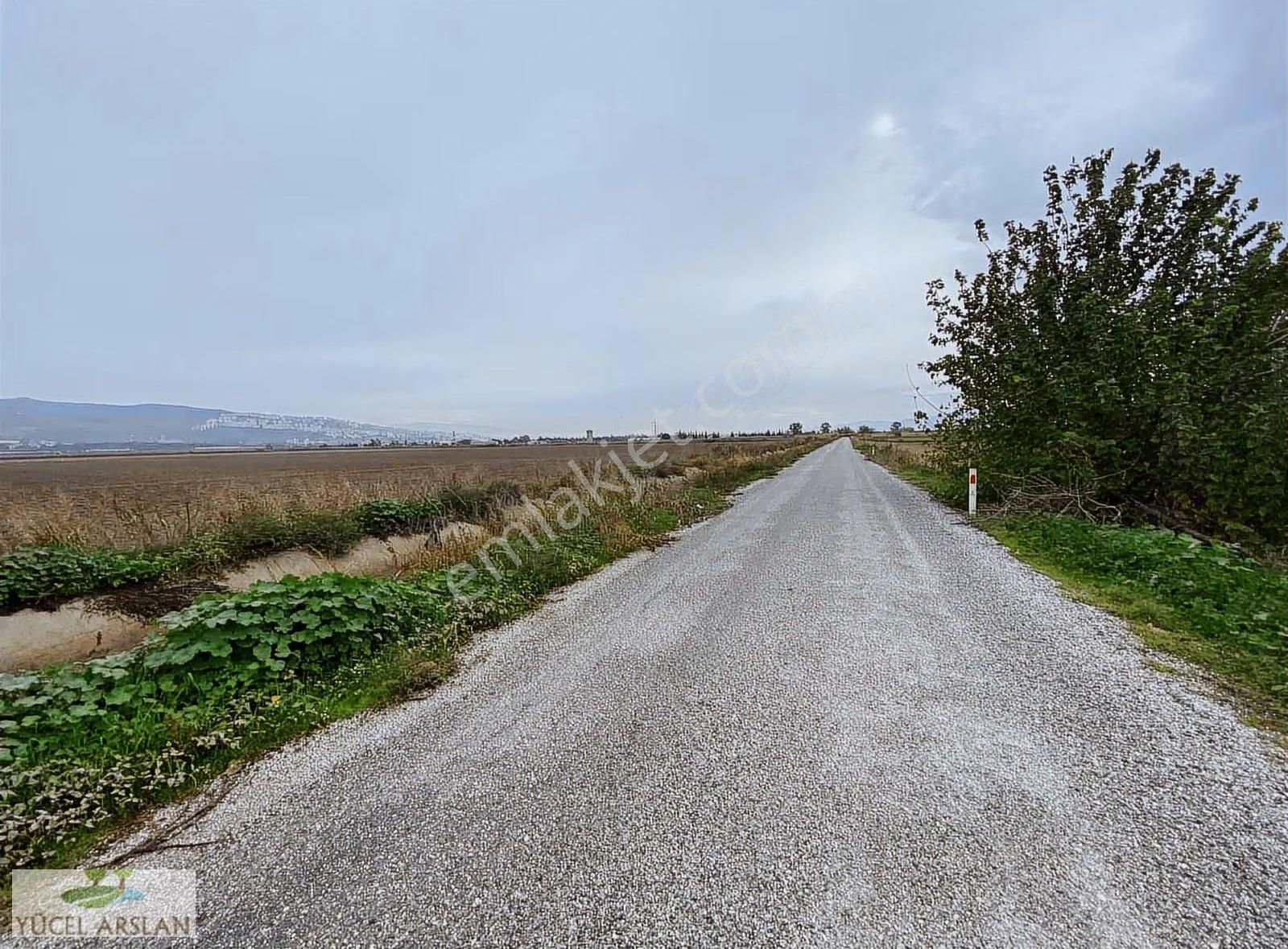 Seyrekte Takaslara Açık 19.000m2 Tarla Elektrik Yol Mevcut - Görsel 4