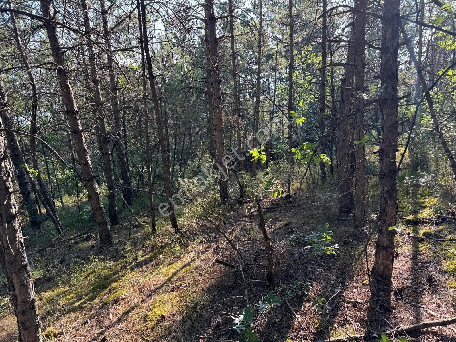 Sakarya Geyve Çengel Mahallesinde Satılık 8.3 Dönüm Yatırımlık Arsa - Görsel 7