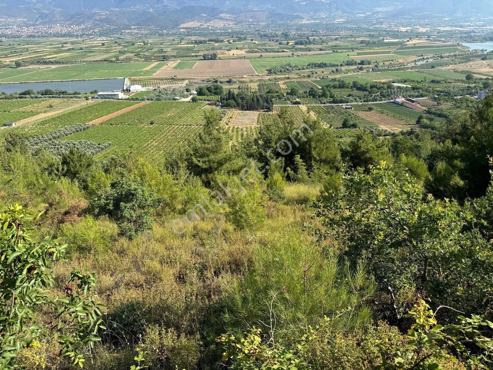 Sakarya Geyve Çengel Mahallesinde Satılık 8.3 Dönüm Yatırımlık Arsa