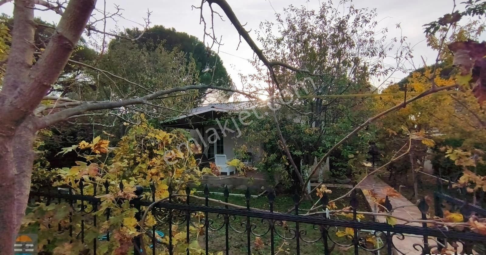 Ayvalık Altınova Tek Katlı Bahçeli 2+1 Müstakil Villa - Görsel 33