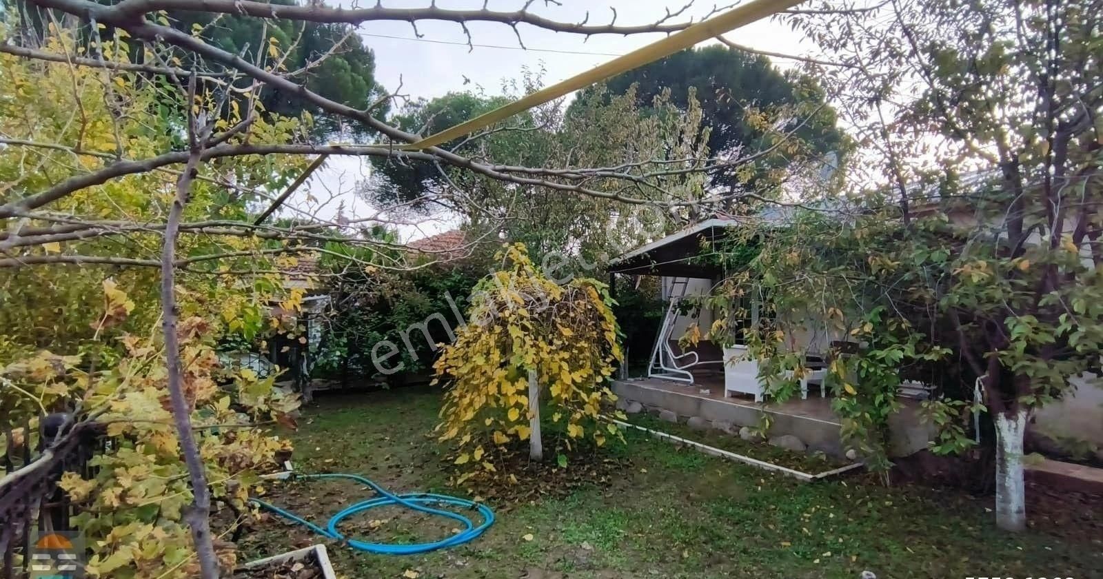 Ayvalık Altınova Tek Katlı Bahçeli 2+1 Müstakil Villa - Görsel 13