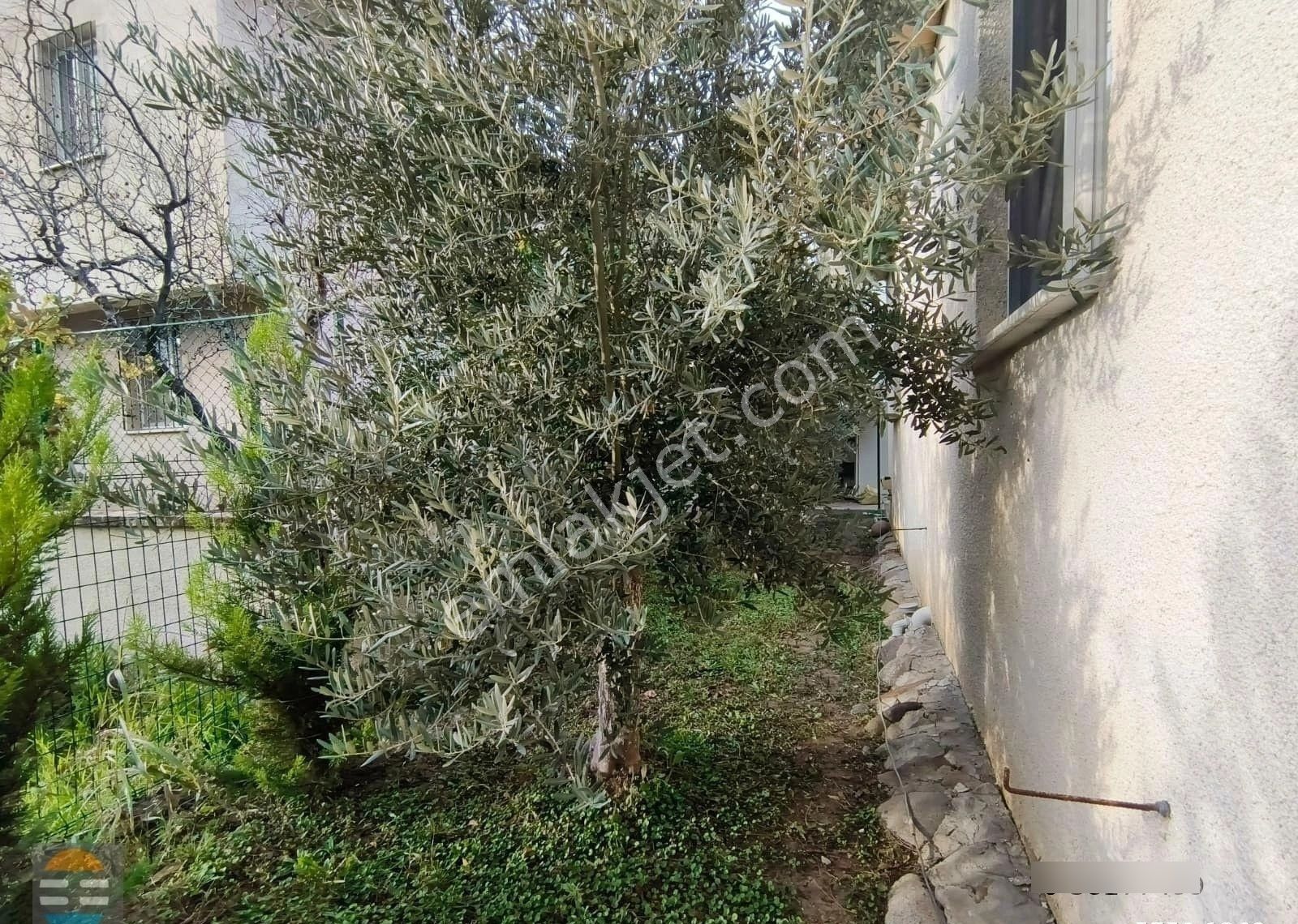 Ayvalık Altınova Tek Katlı Bahçeli 2+1 Müstakil Villa - Görsel 34