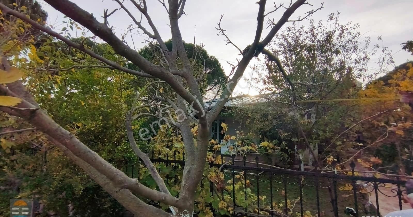 Ayvalık Altınova Tek Katlı Bahçeli 2+1 Müstakil Villa - Görsel 18