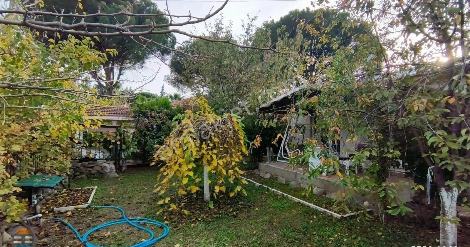 Ayvalık Altınova Tek Katlı Bahçeli 2+1 Müstakil Villa - Görsel 7