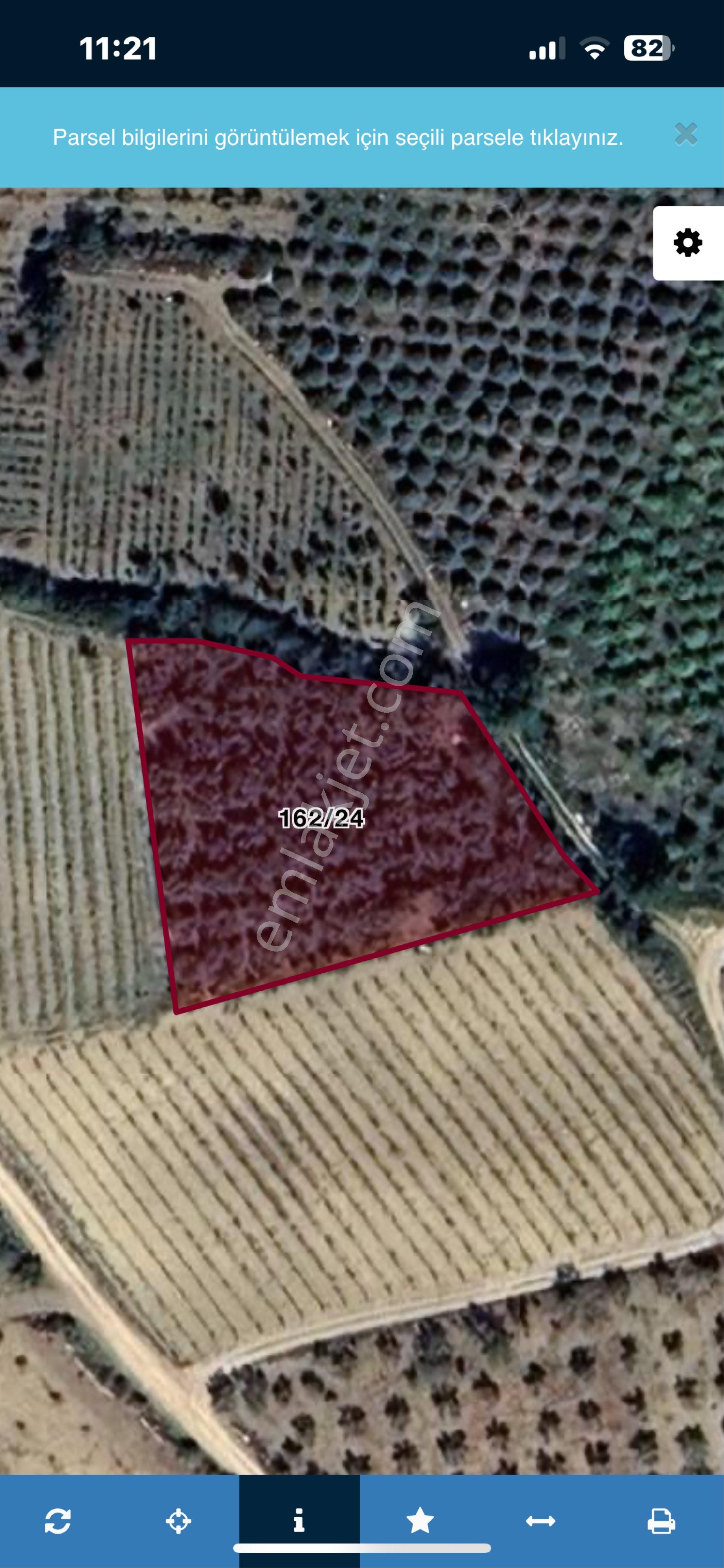 Camilide 1803 M2 Tek Tapu Zeytin Bahçesi Merkeze 11 Km Mesafe Yolu Açık Manzaralı - Görsel 2