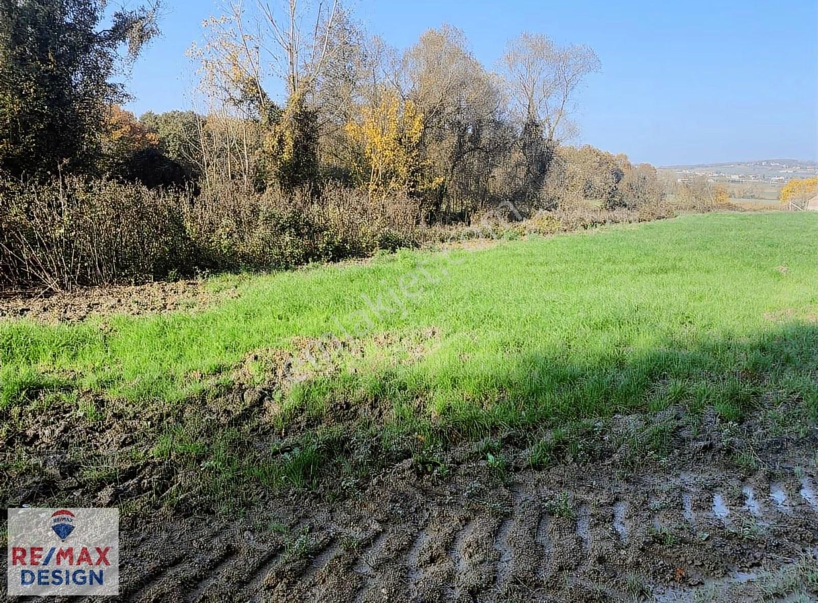 İzmit Yenice Mahallesi'nde 2170 M2 Satılık Tarla