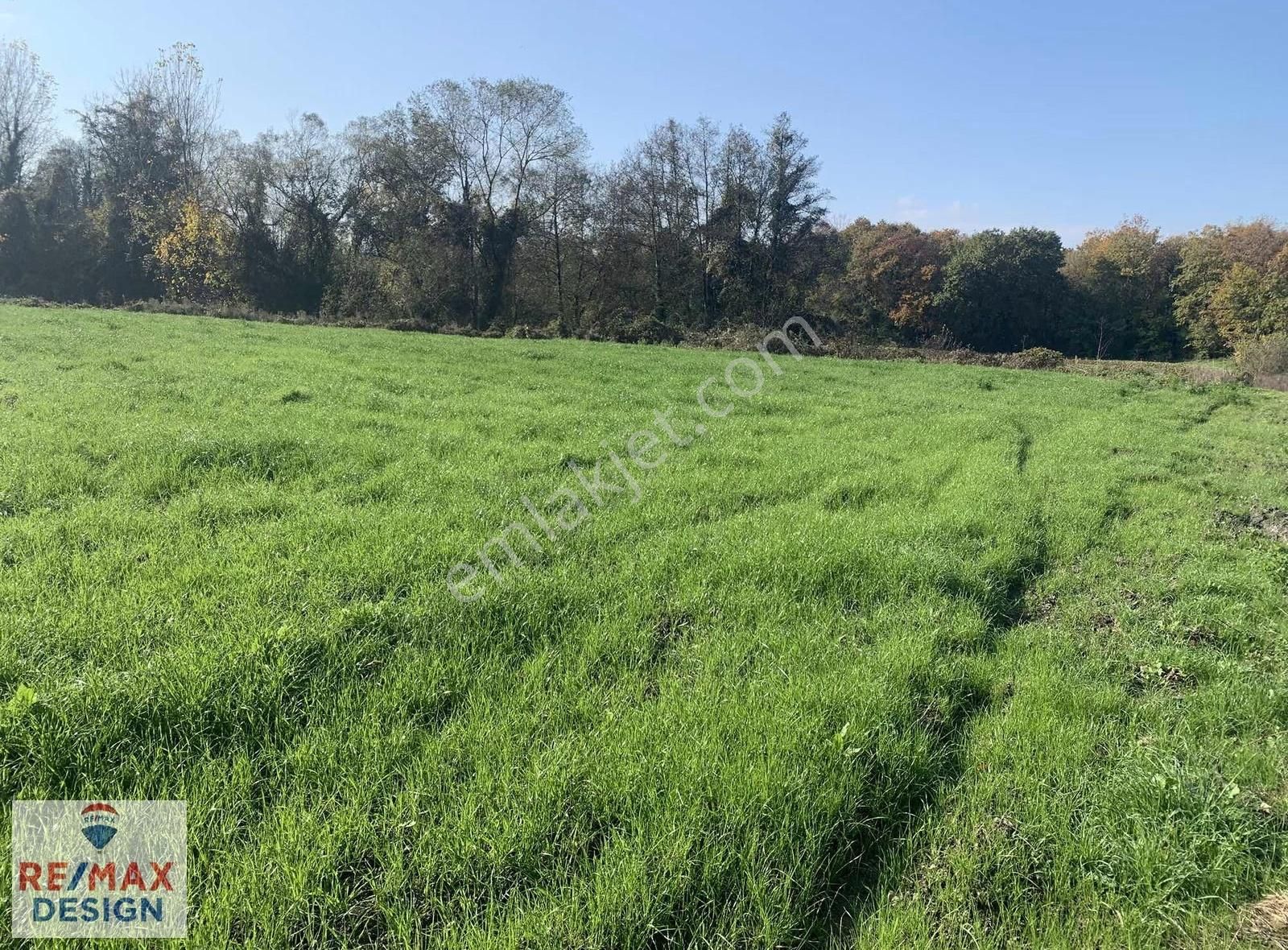 İzmit Yenice Mahallesi'nde 2170 M2 Satılık Tarla - Görsel 2