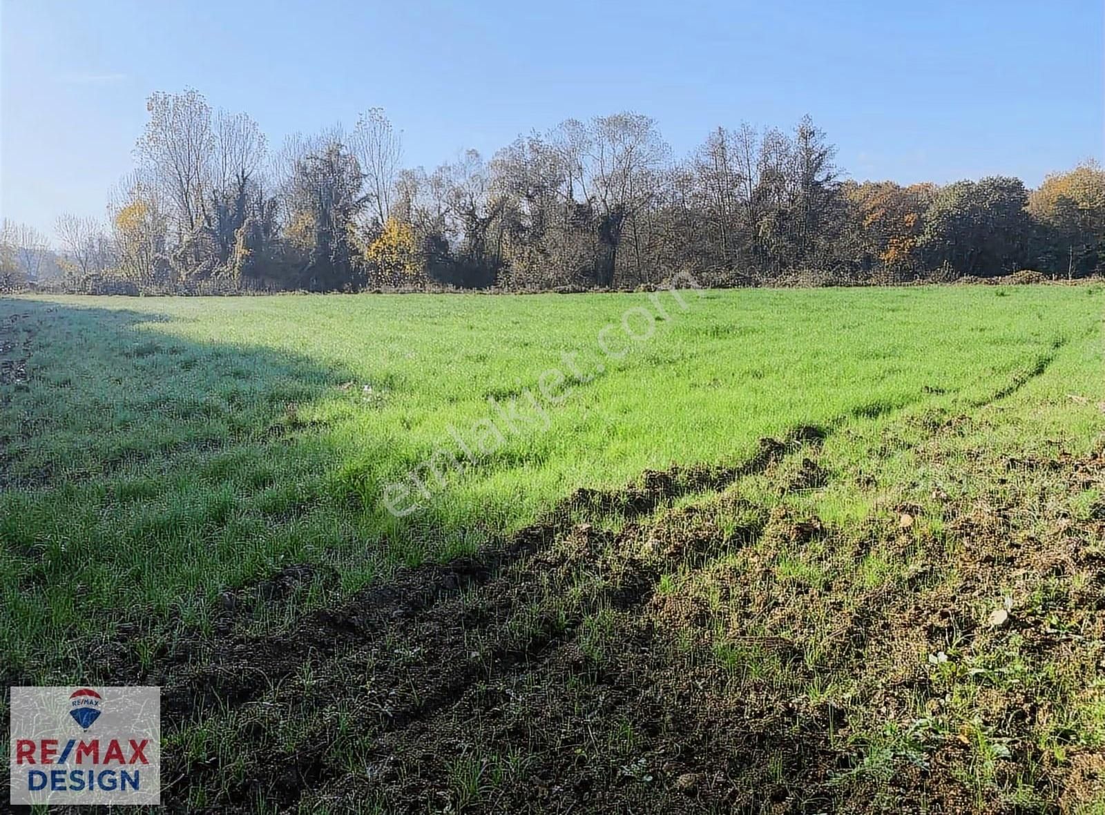 İzmit Yenice Mahallesi'nde 2170 M2 Satılık Tarla - Görsel 15