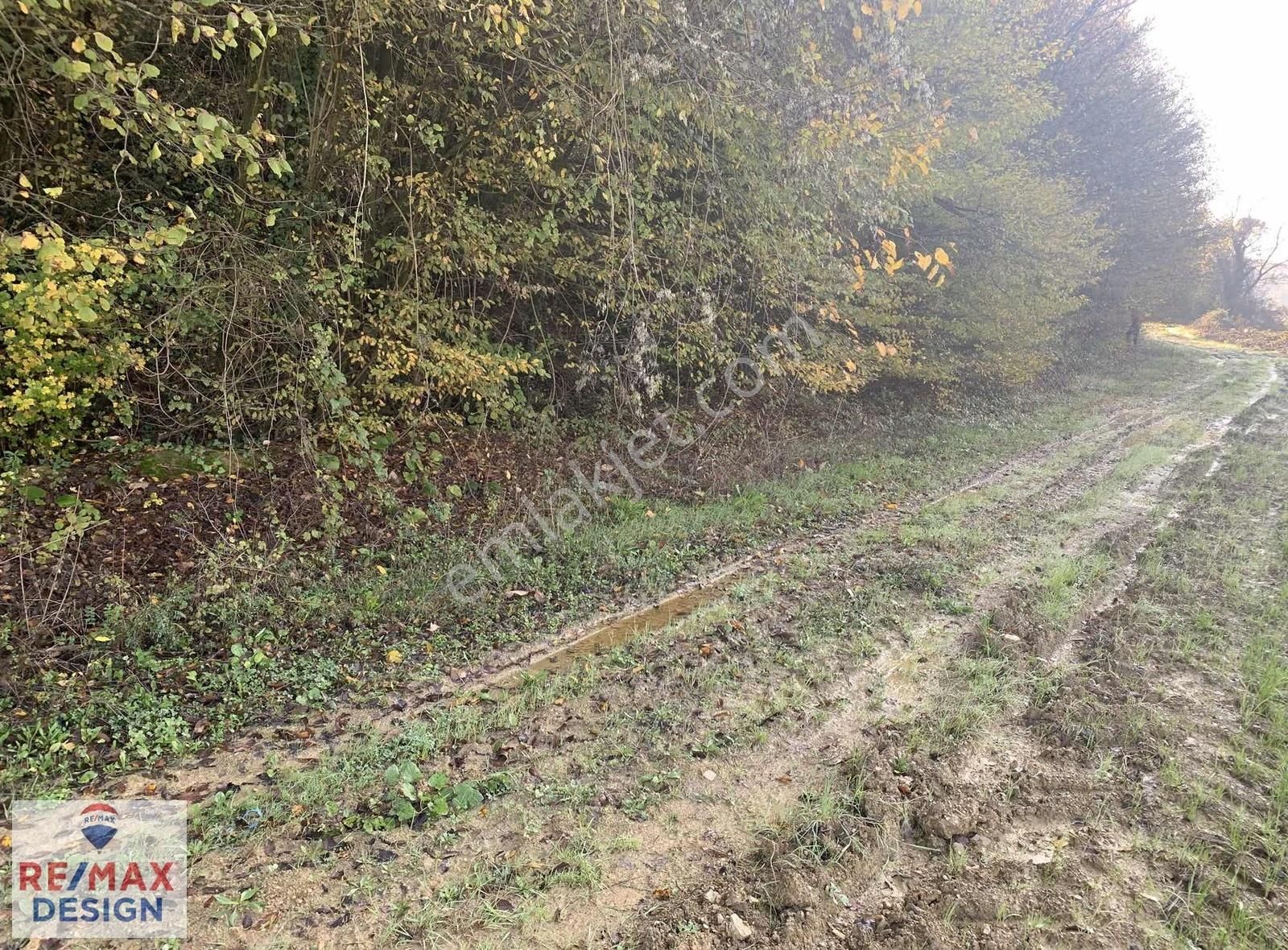 İzmit Yenice Mahallesi'nde 2170 M2 Satılık Tarla - Görsel 10