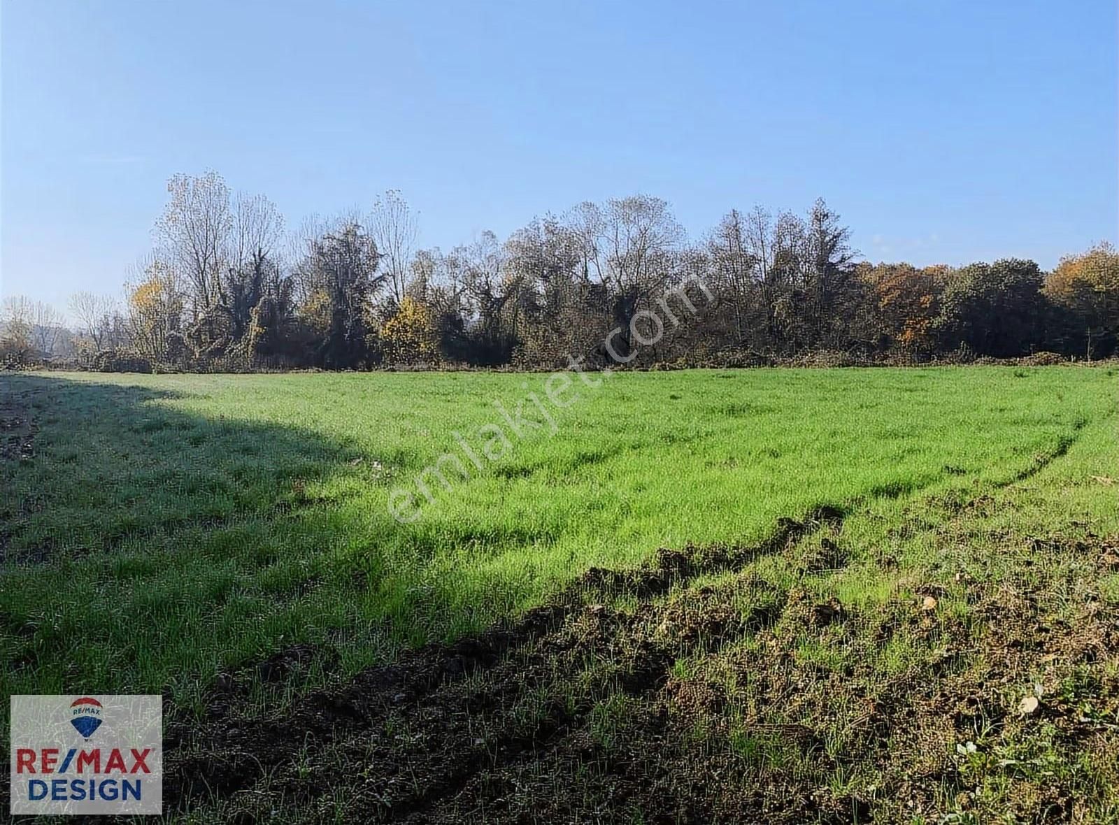 İzmit Yenice Mahallesi'nde 2170 M2 Satılık Tarla - Görsel 6