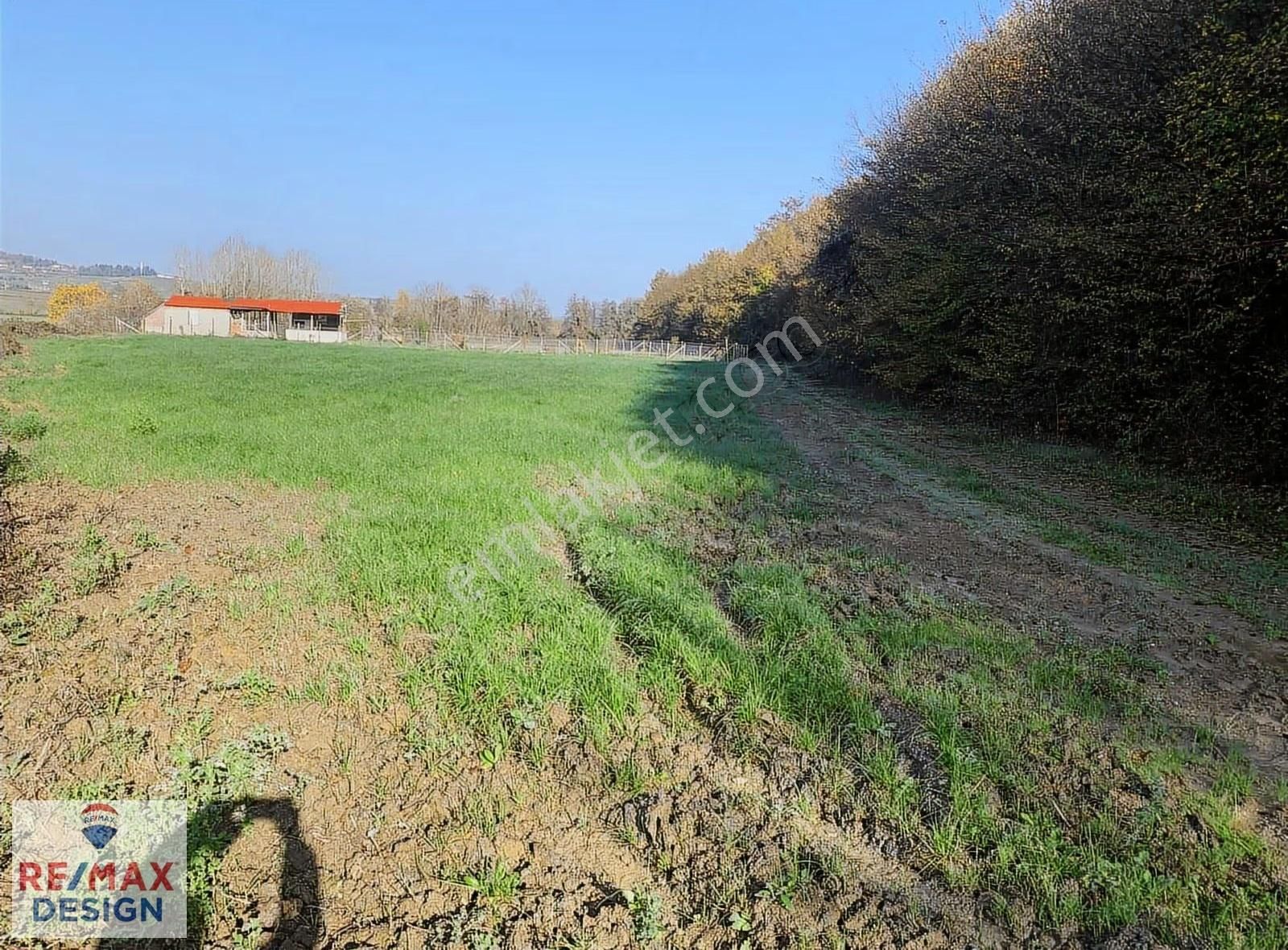 İzmit Yenice Mahallesi'nde 2170 M2 Satılık Tarla - Görsel 11