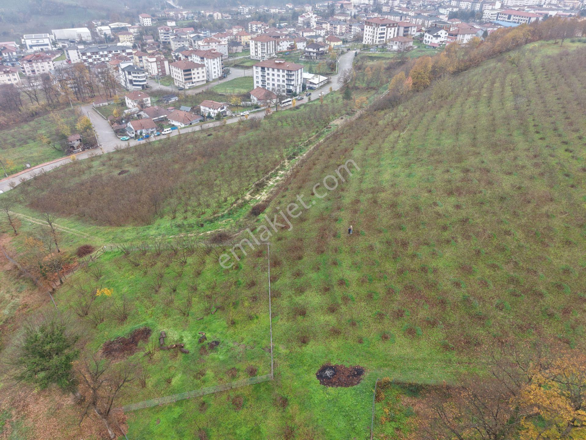 Emlakevim - Gümüşova Kültür Mah.de Satılık 323 M2 İmarlı Arsa !! - Görsel 12