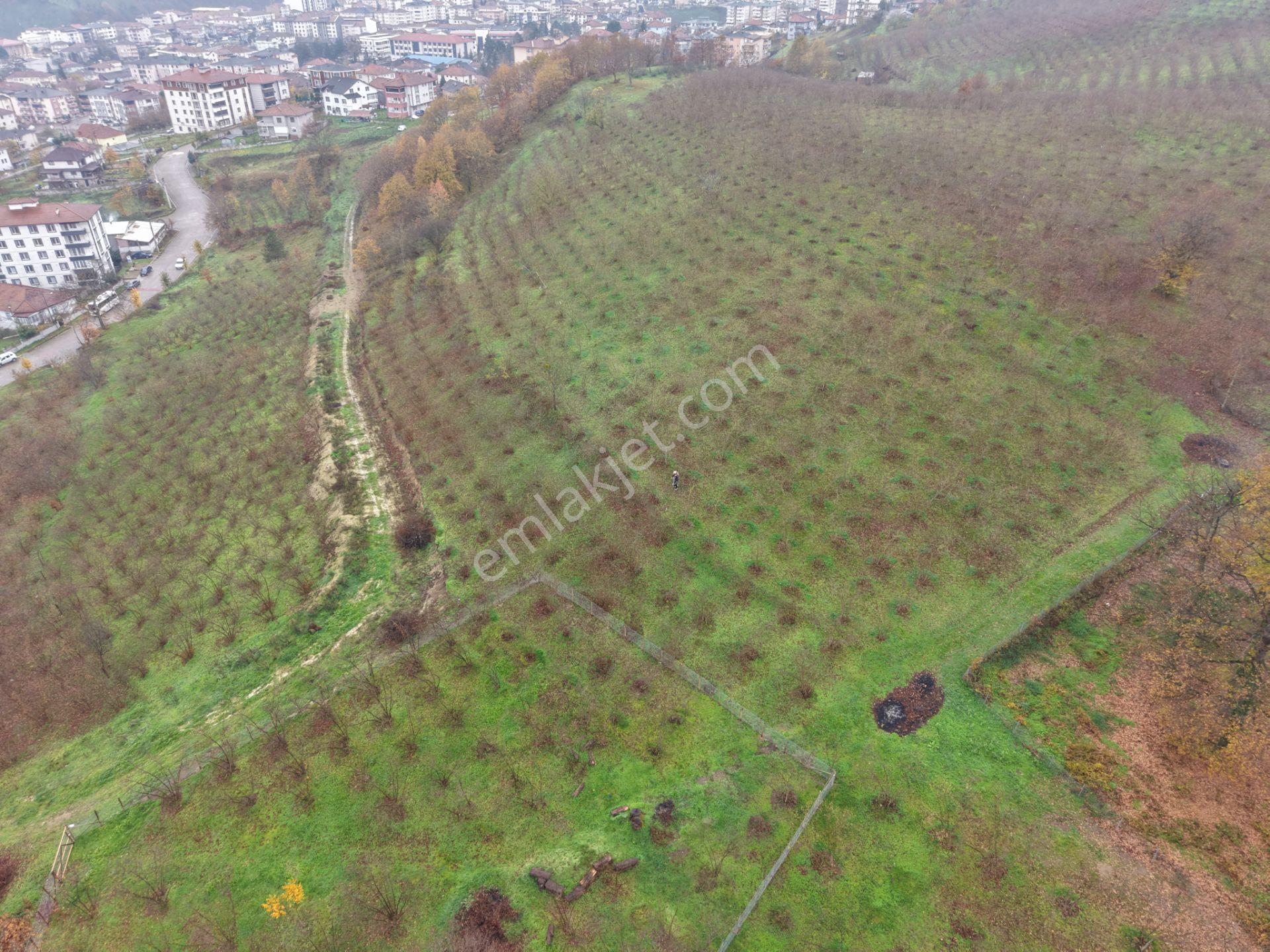 Emlakevim - Gümüşova Kültür Mah.de Satılık 323 M2 İmarlı Arsa !! - Görsel 14