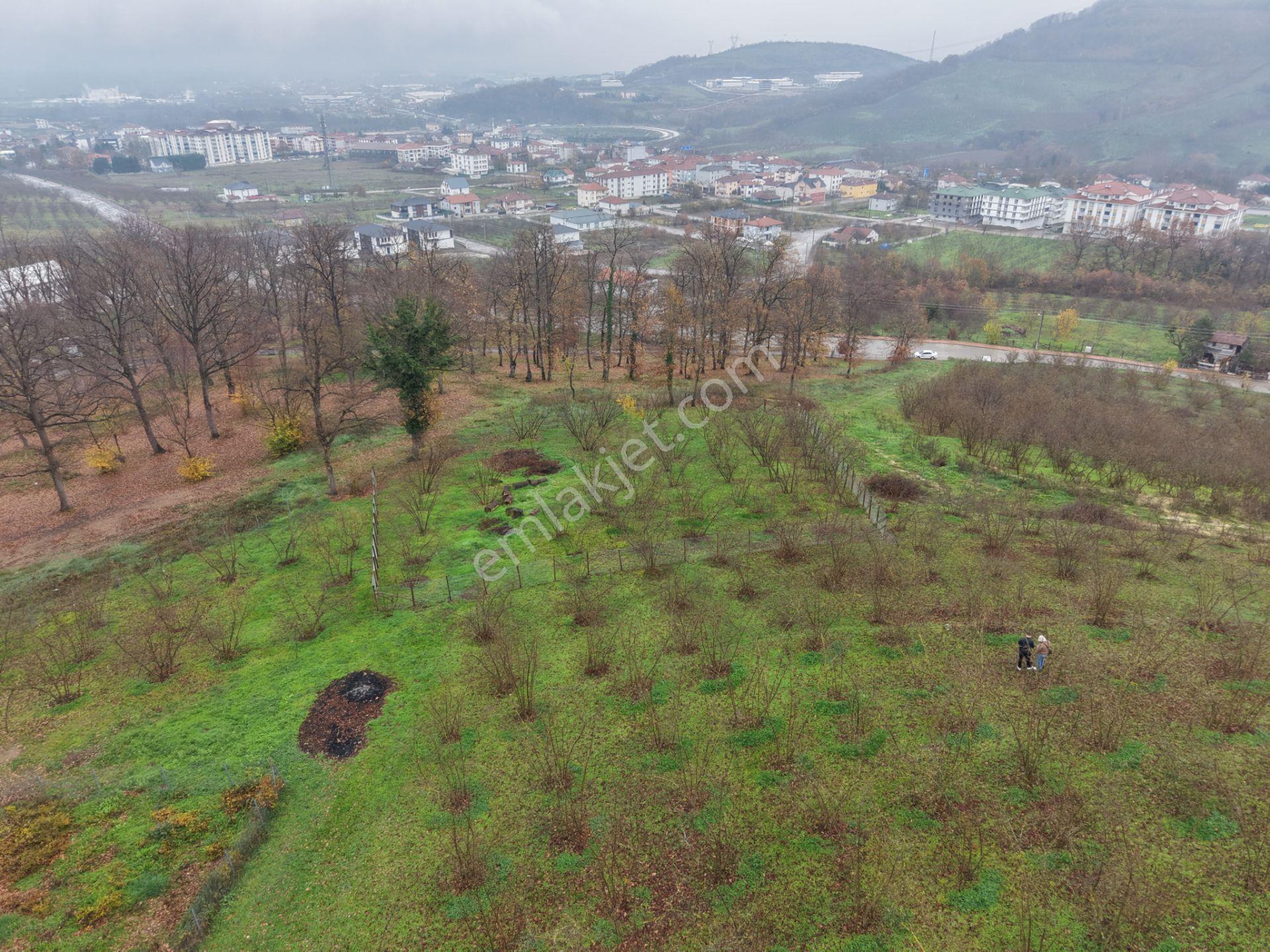 Emlakevim - Gümüşova Kültür Mah.de Satılık 323 M2 İmarlı Arsa !! - Görsel 25