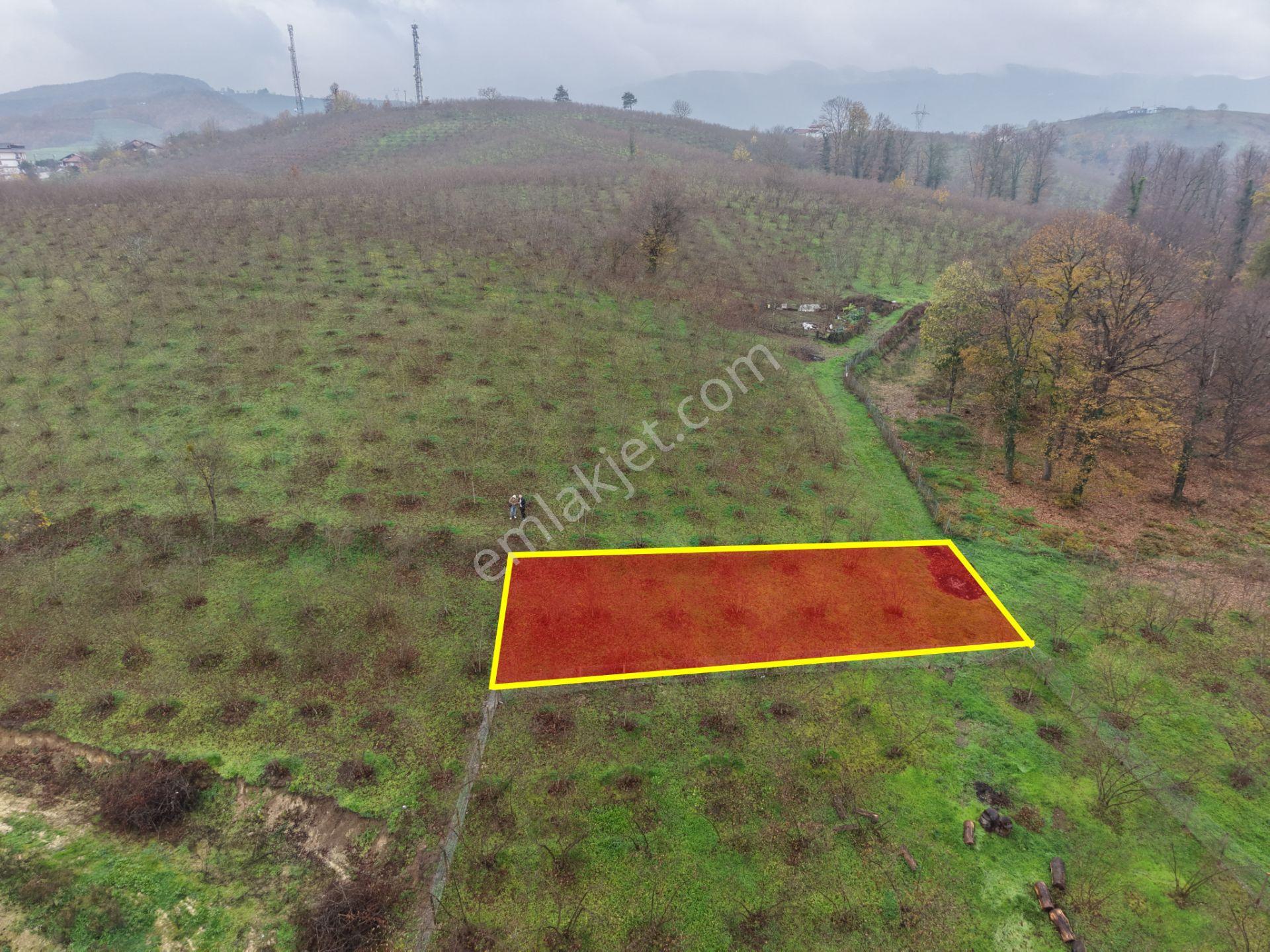 Emlakevim - Gümüşova Kültür Mah.de Satılık 323 M2 İmarlı Arsa !! - Görsel 17