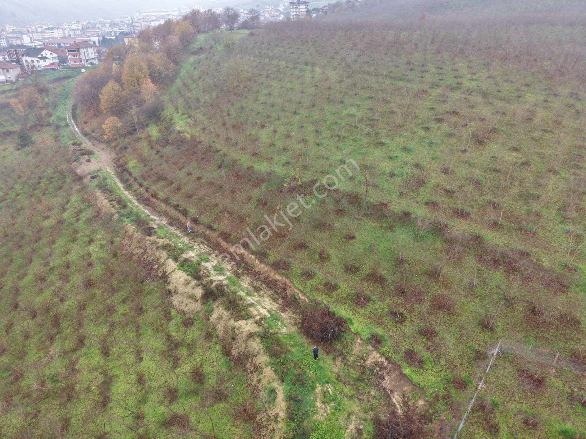 Emlakevim - Gümüşova Kültür Mah.de Satılık 534 M2 İmarlı Arsa !! - Görsel 21