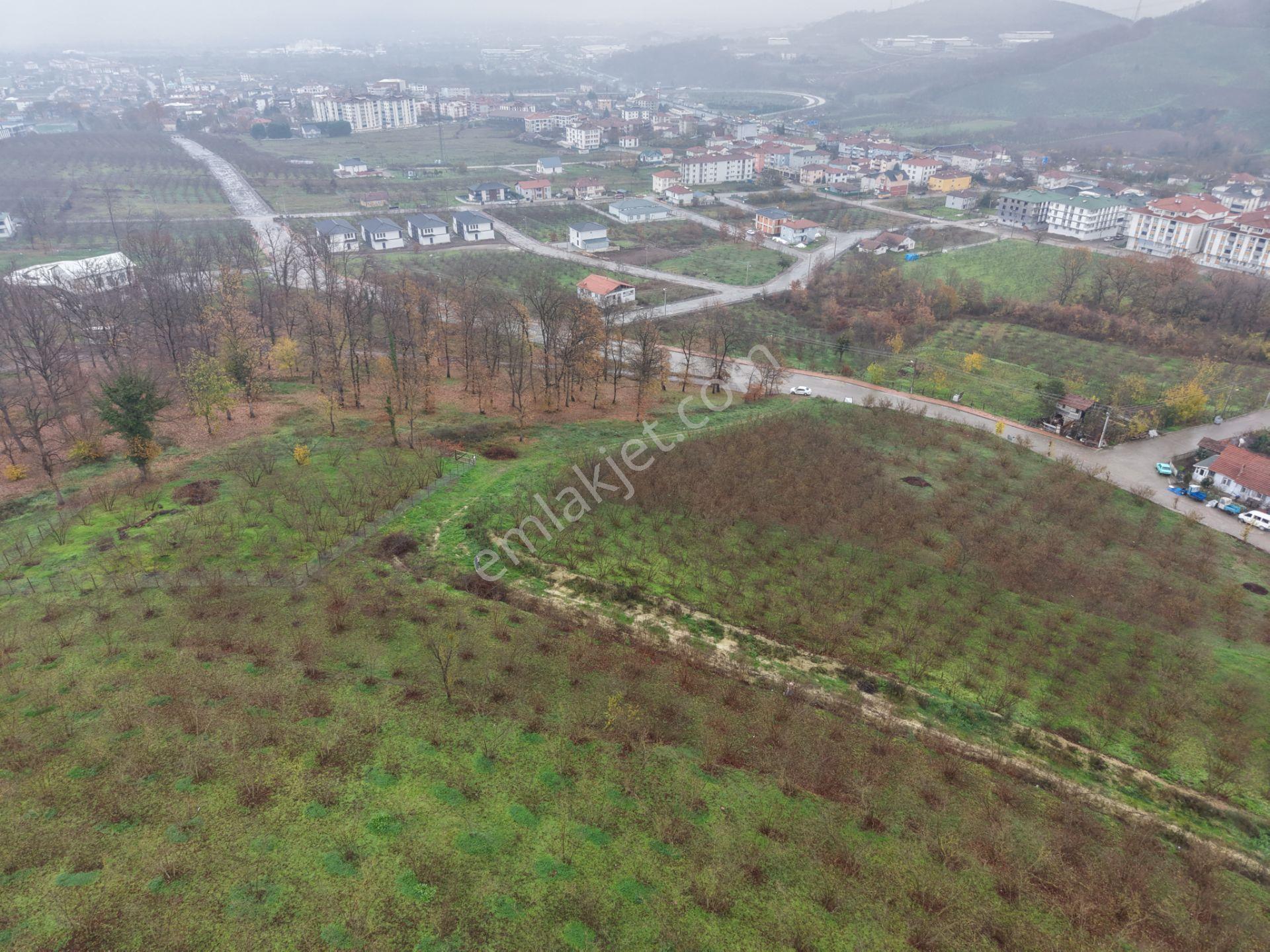 Emlakevim - Gümüşova Kültür Mah.de Satılık 534 M2 İmarlı Arsa !! - Görsel 13