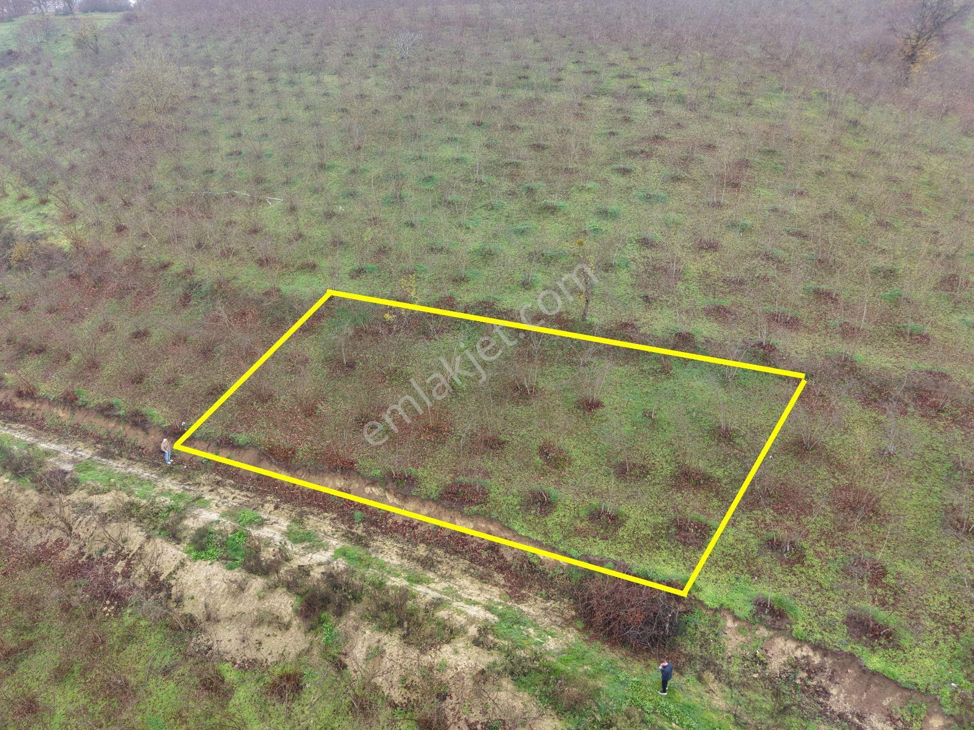 Emlakevim - Gümüşova Kültür Mah.de Satılık 534 M2 İmarlı Arsa !! - Görsel 10