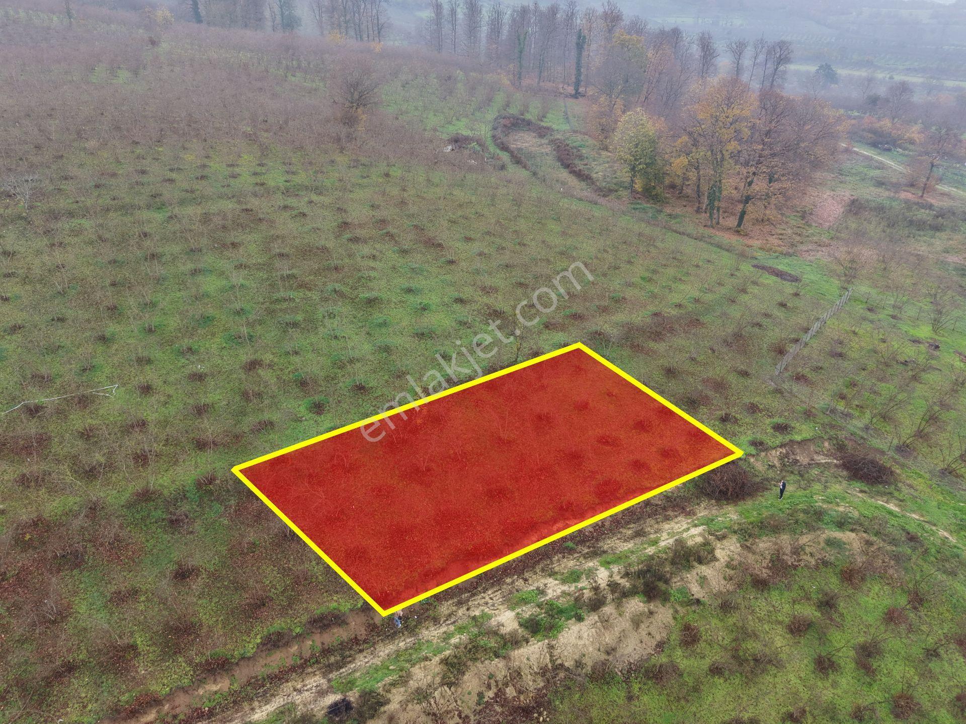 Emlakevim - Gümüşova Kültür Mah.de Satılık 534 M2 İmarlı Arsa !! - Görsel 23