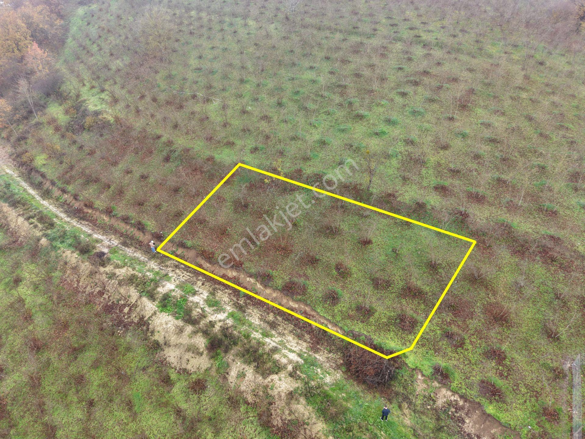 Emlakevim - Gümüşova Kültür Mah.de Satılık 534 M2 İmarlı Arsa !! - Görsel 25