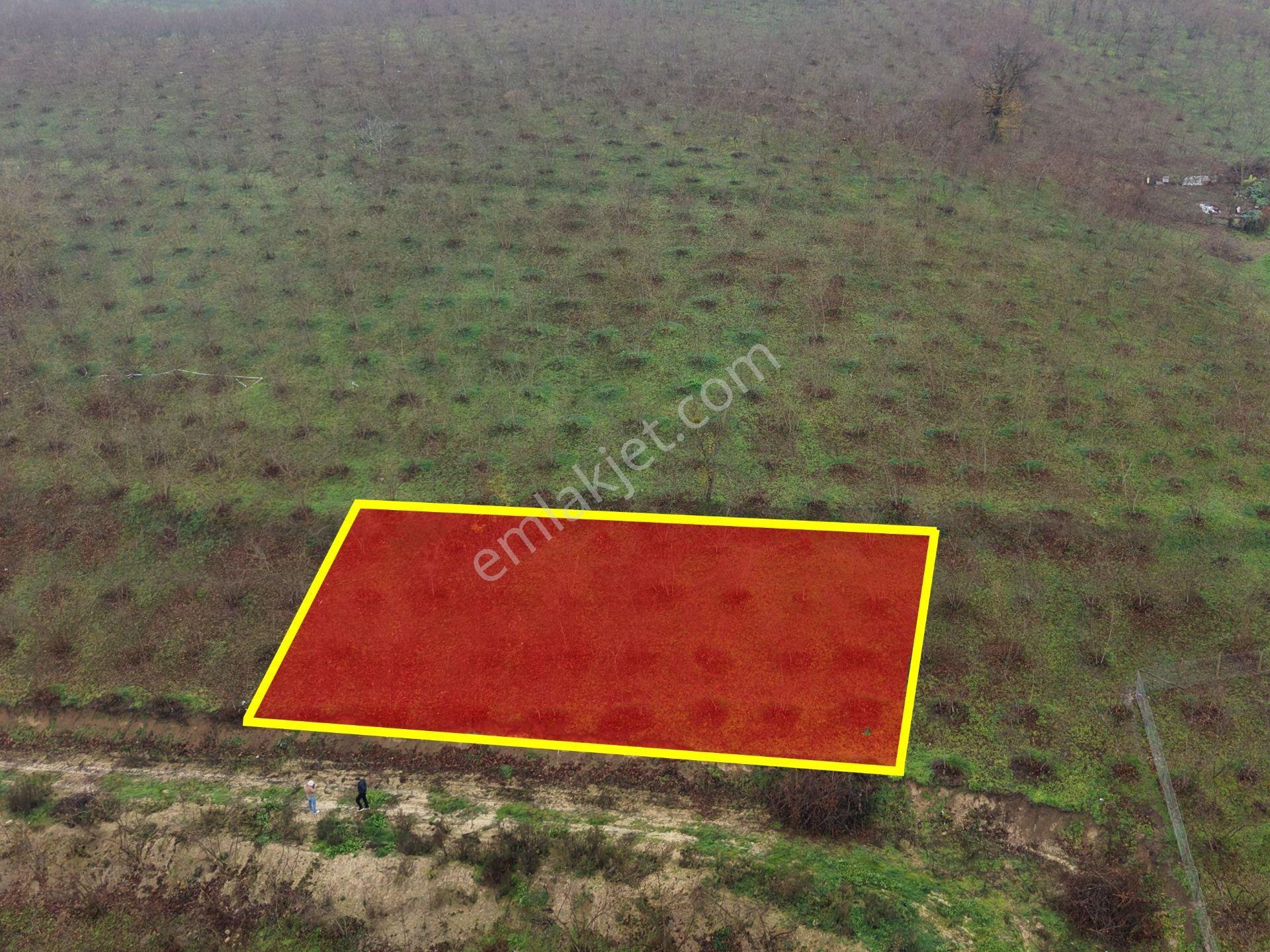 Emlakevim - Gümüşova Kültür Mah.de Satılık 534 M2 İmarlı Arsa !! - Görsel 6