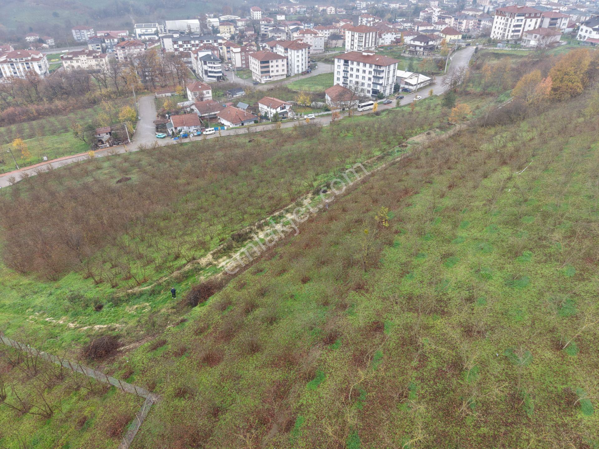 Emlakevim - Gümüşova Kültür Mah.de Satılık 534 M2 İmarlı Arsa !! - Görsel 4
