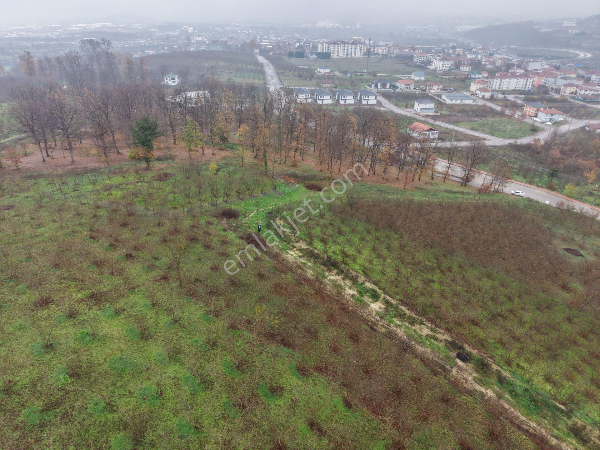 Emlakevim - Gümüşova Kültür Mah.de Satılık 534 M2 İmarlı Arsa !! - Görsel 12