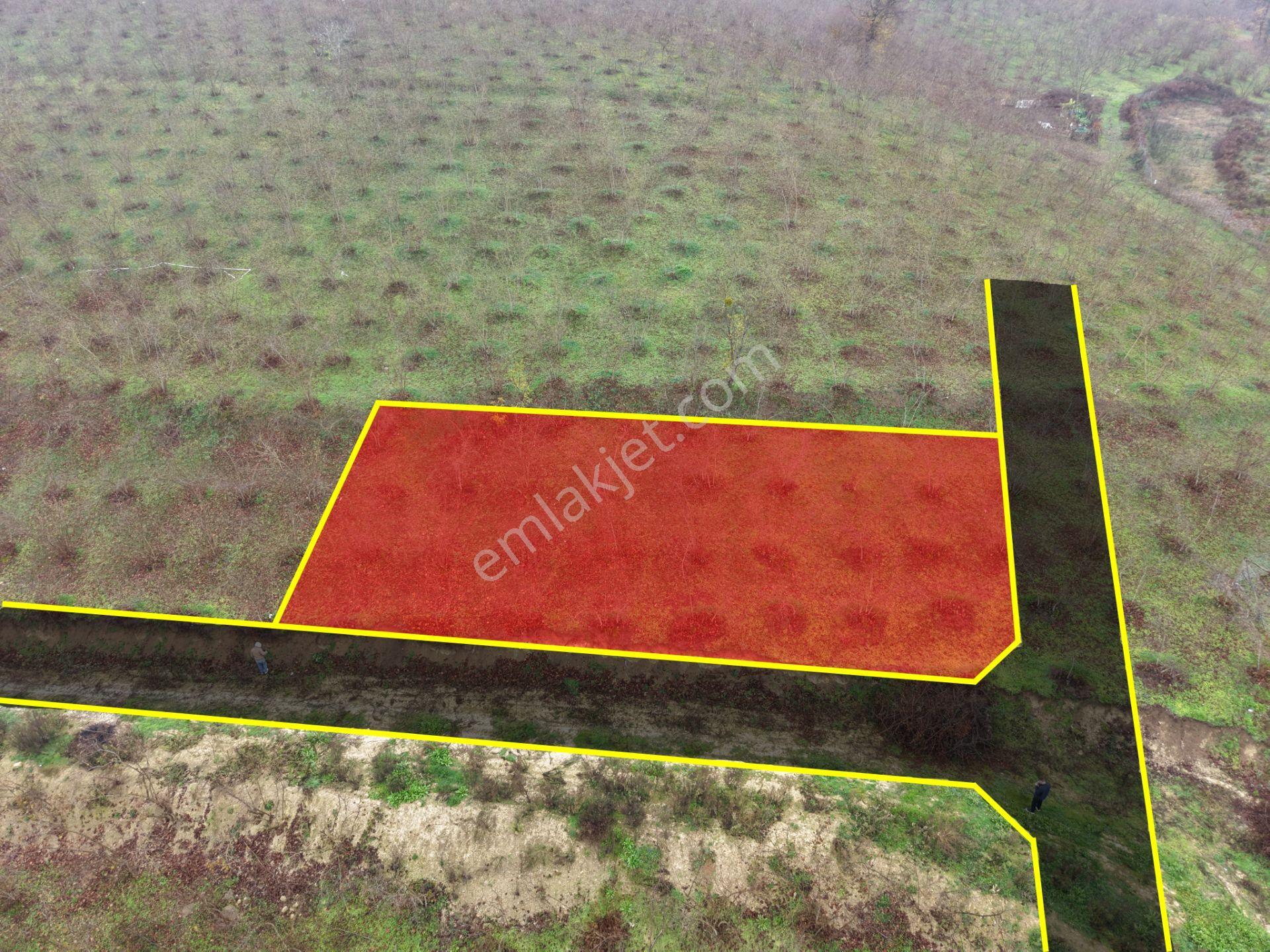 Emlakevim - Gümüşova Kültür Mah.de Satılık 534 M2 İmarlı Arsa !! - Görsel 8