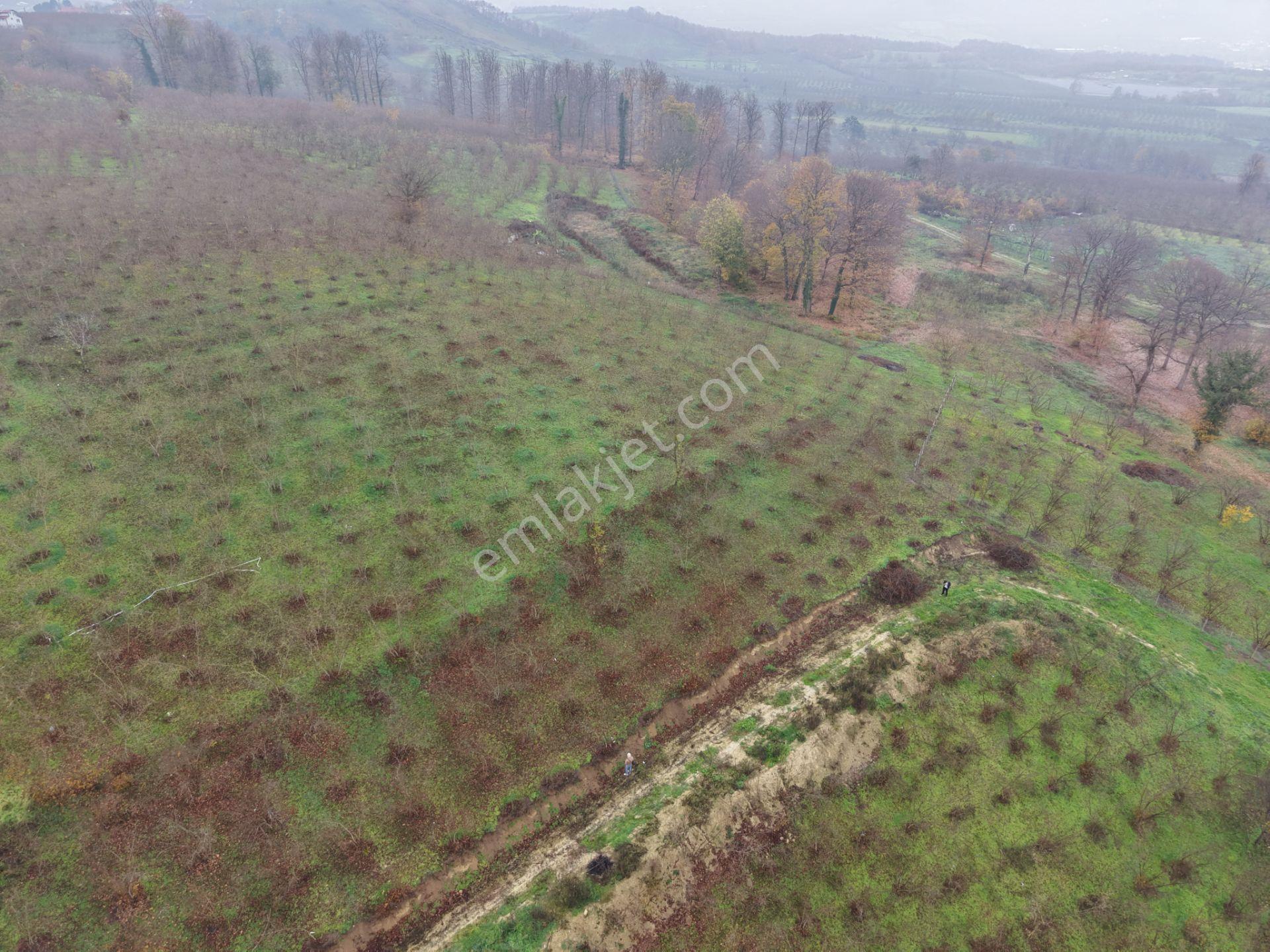 Emlakevim - Gümüşova Kültür Mah.de Satılık 534 M2 İmarlı Arsa !! - Görsel 24