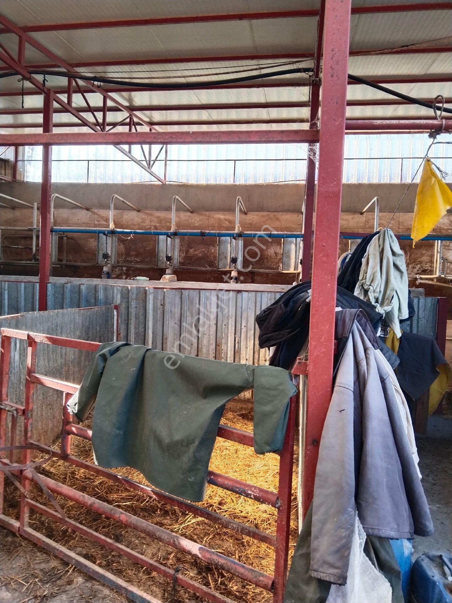 Duru Emlak'tan Satılık - Görsel 12