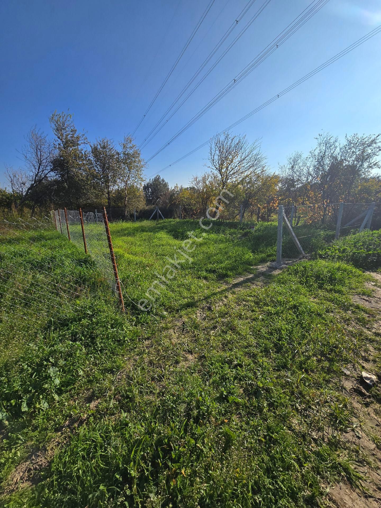 Sahıbınden Dogakoyde