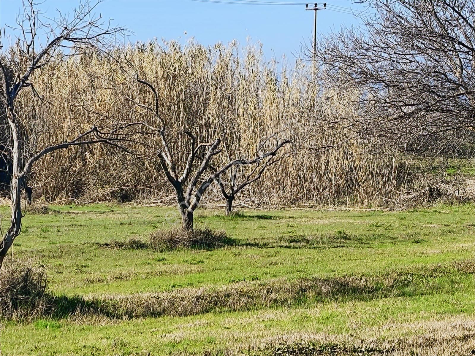 Aydın Efeler Umurlu Mahallesinde Satılık 10.103 M2 Tarla - Görsel 30