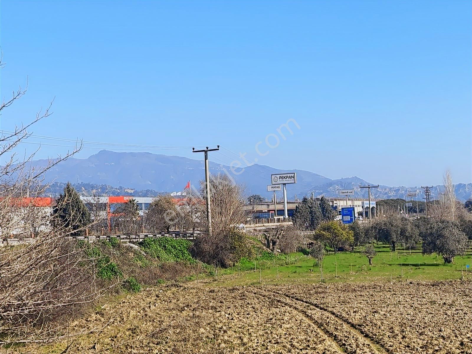 Aydın Efeler Umurlu Mahallesinde Satılık 10.103 M2 Tarla - Görsel 4