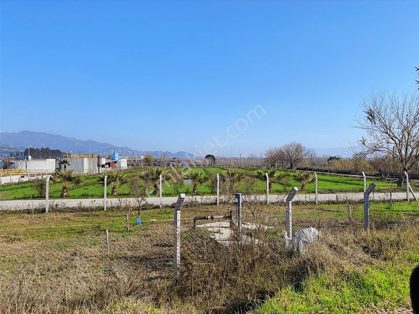 Aydın Efeler Umurlu Mahallesinde Satılık 10.103 M2 Tarla - Görsel 6