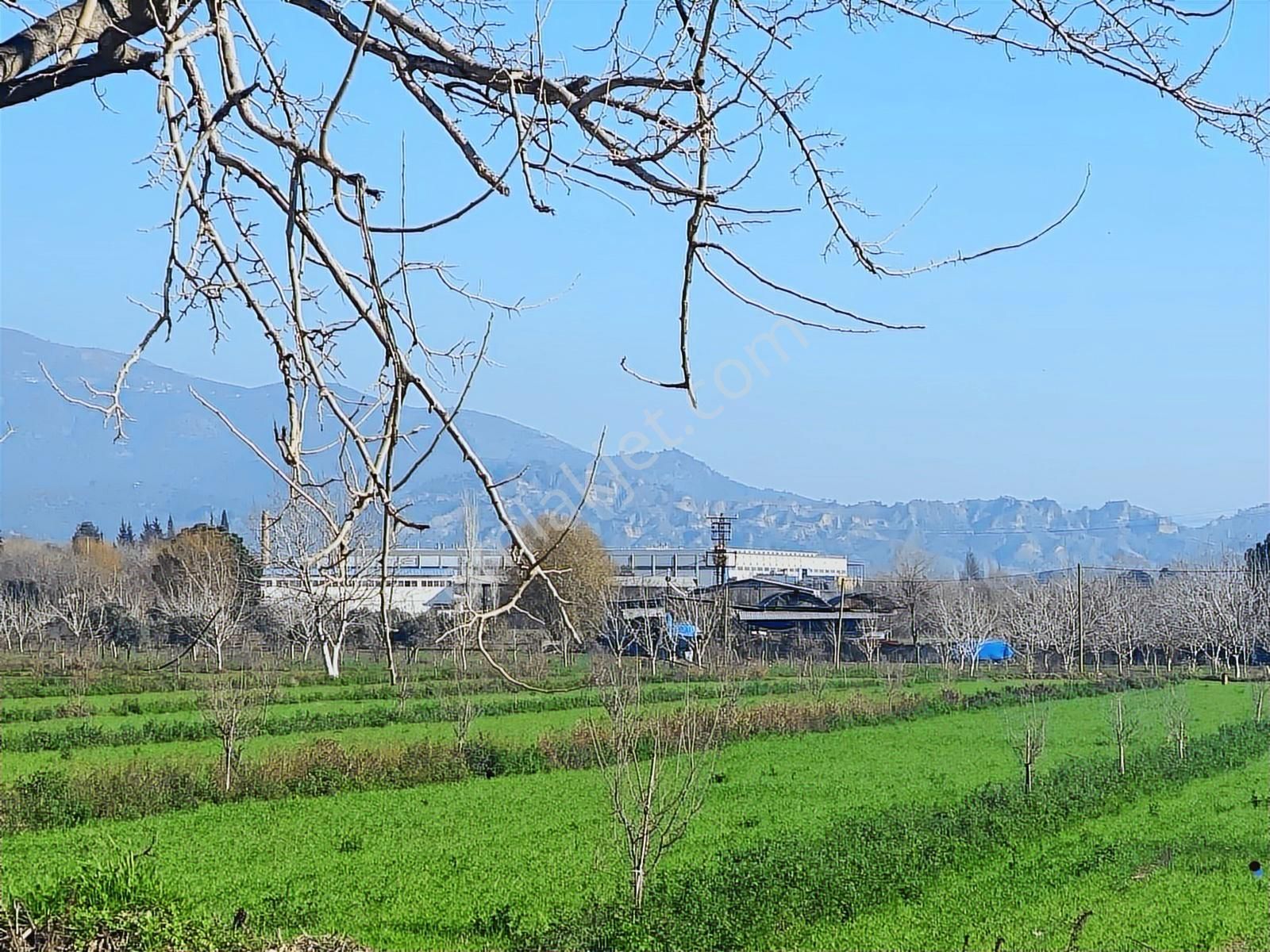 Aydın Efeler Umurlu Mahallesinde Satılık 10.103 M2 Tarla - Görsel 7