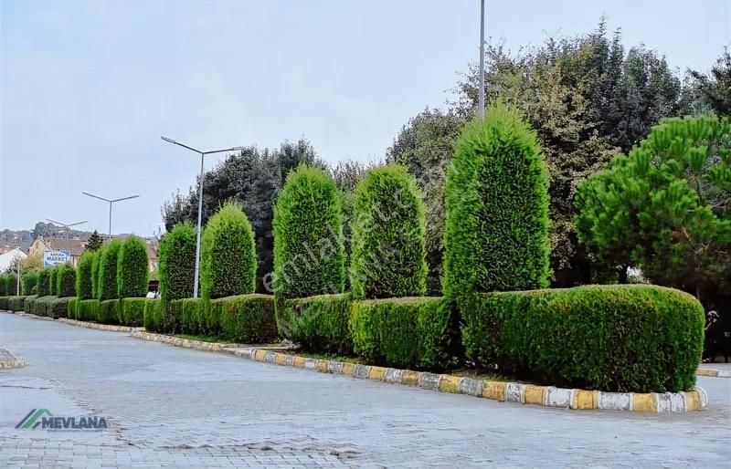 Mevlana Emlaktan Kuzuluk Kaplıca Evlerinde Kiralık Daire - Görsel 3