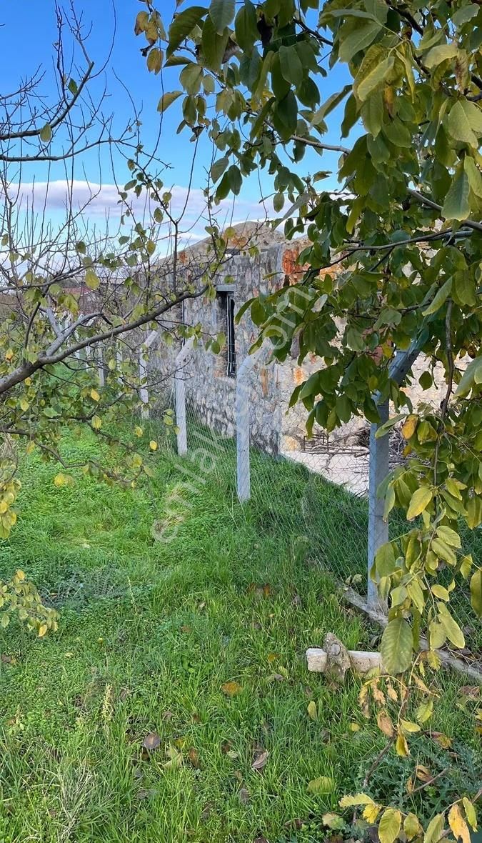 Yiğitler'de İçerisinde Taş Evi Bulunan Tek Tapu Satılık Bahçe!!! - Görsel 4