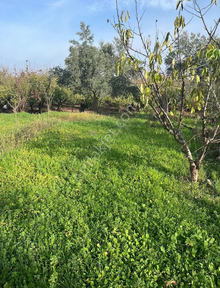 Yiğitler'de Ruhsatlı Yapısı Olan 3050 M2 Tek Tapu Satılık Arsa!! - Görsel 8