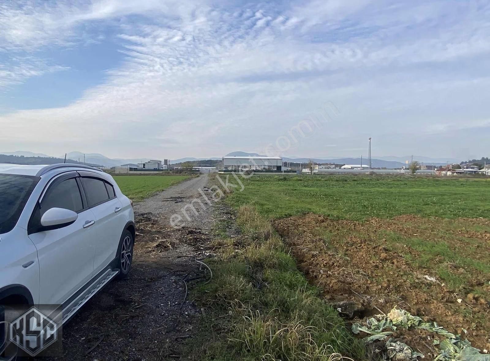 Karadeniz Emlak'tan Ahmetbeyli Yol'a 200mt 5 Dönüm Tarla - Görsel 5