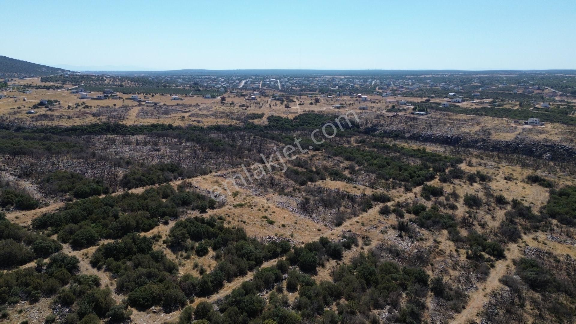 Sahibinden Satılık Didim Akarkuyu Mevkinde 321m2 Villa Arsası - Görsel 10