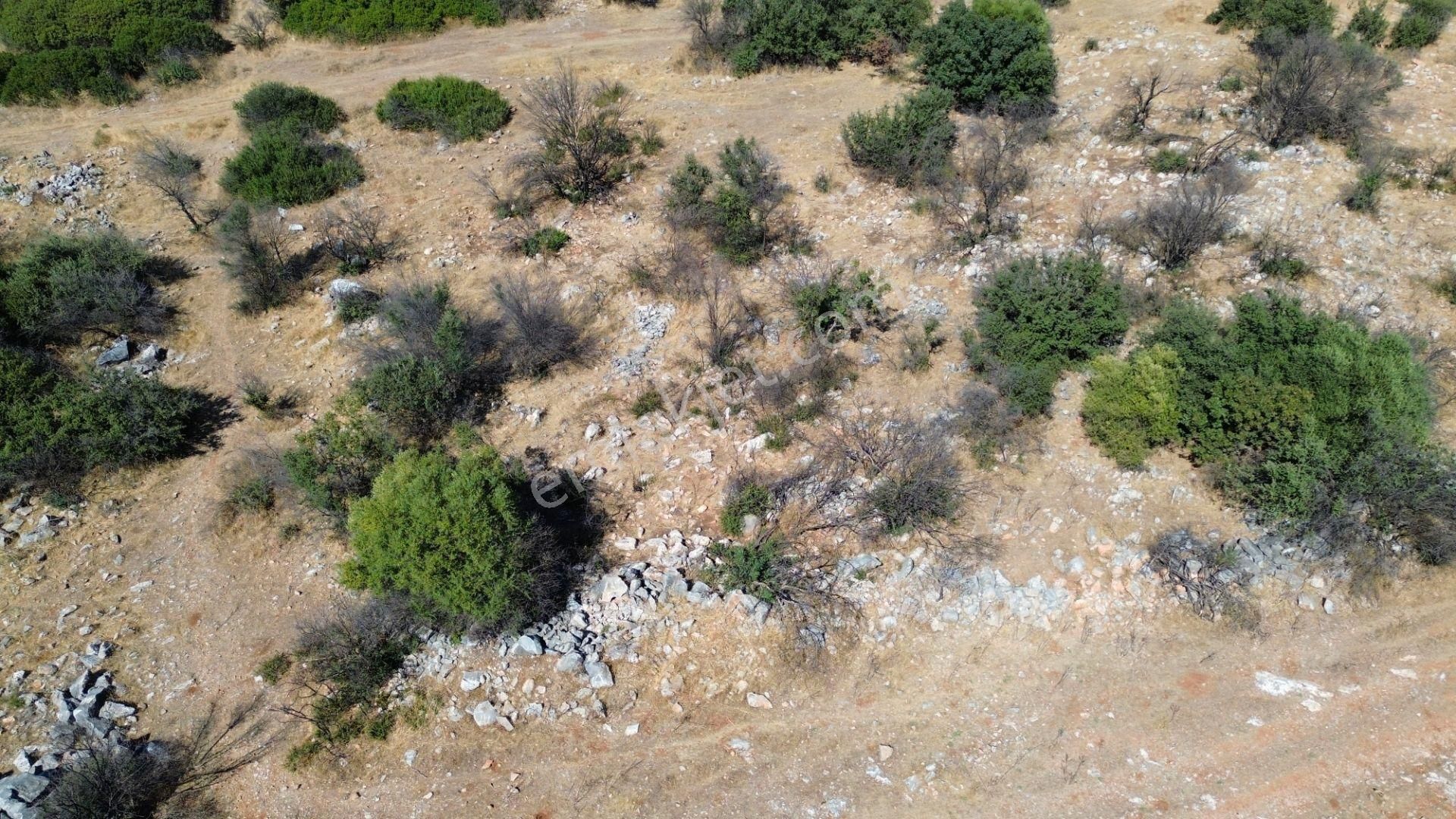 Sahibinden Satılık Didim Akarkuyu Mevkinde 321m2 Villa Arsası - Görsel 7