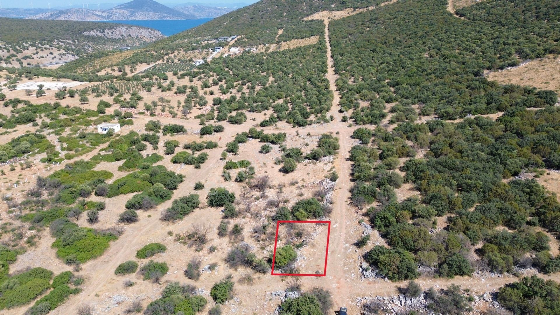 Sahibinden Satılık Didim Akarkuyu Mevkinde 321m2 Villa Arsası - Görsel 6