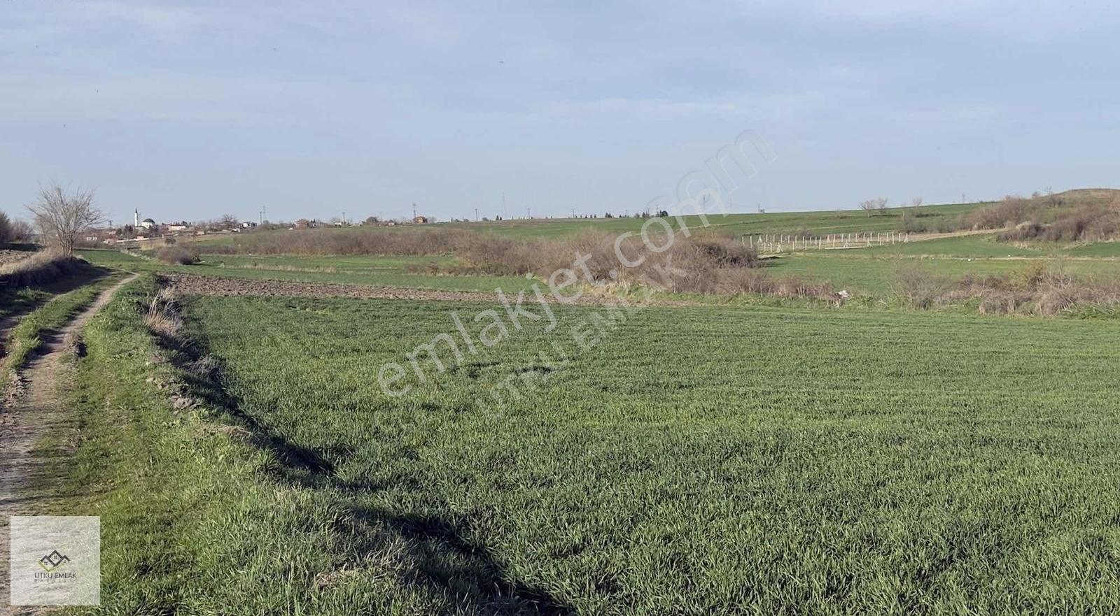 Kırklareli Babaeski Ertuğrul Da 4861 M2 Köye Yakın Satılık Tarla - Görsel 17