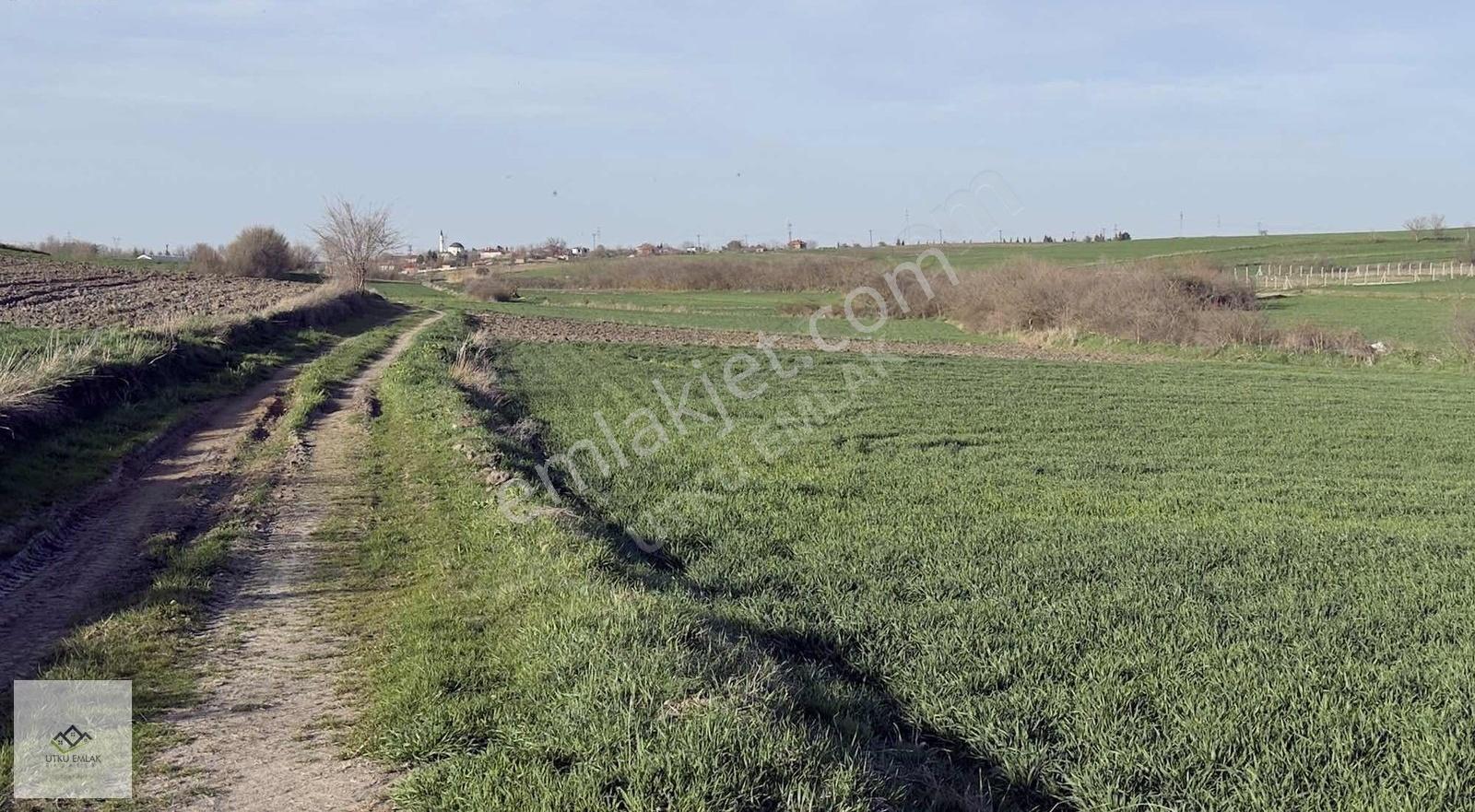 Kırklareli Babaeski Ertuğrul Da 4861 M2 Köye Yakın Satılık Tarla - Görsel 15