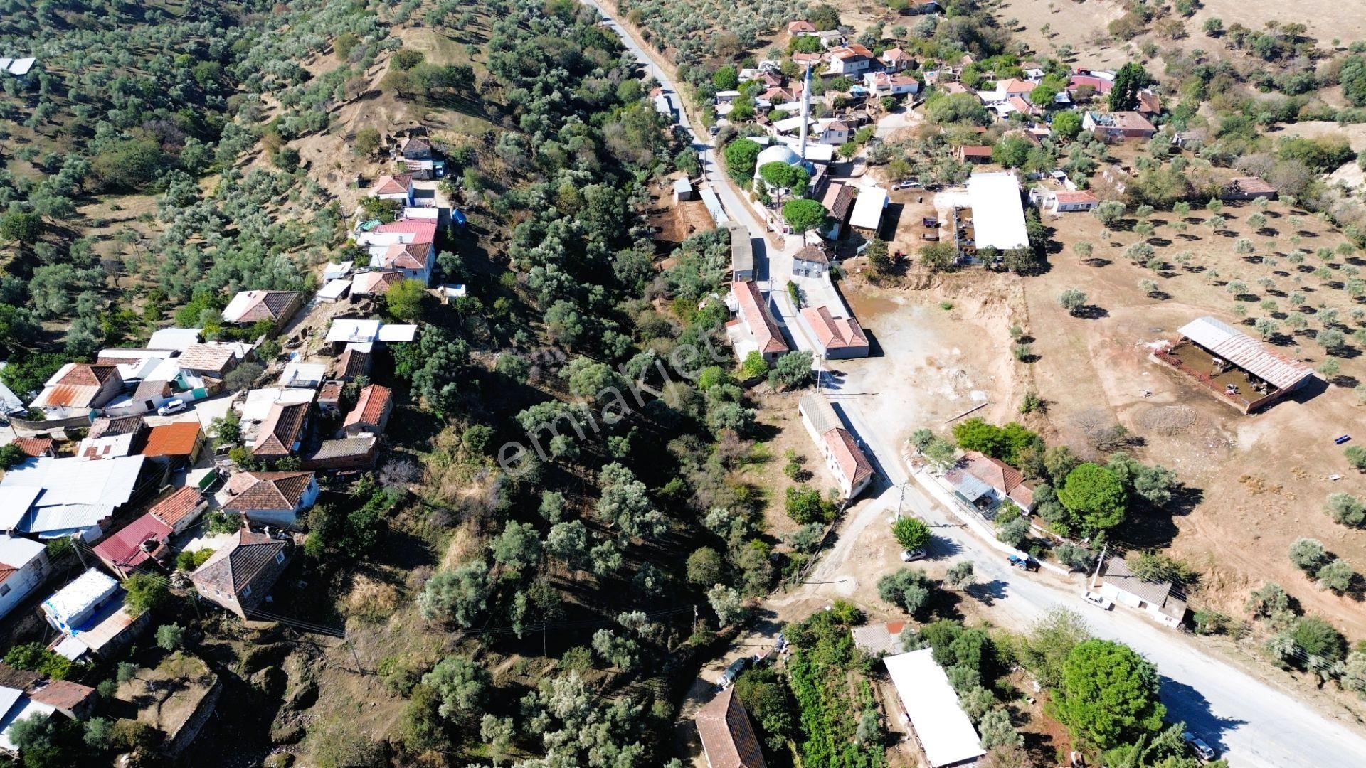 Sahibinden Satılık Çine Kasar'da 491m2 İmarlı Köy İçinde Arsa - Görsel 19