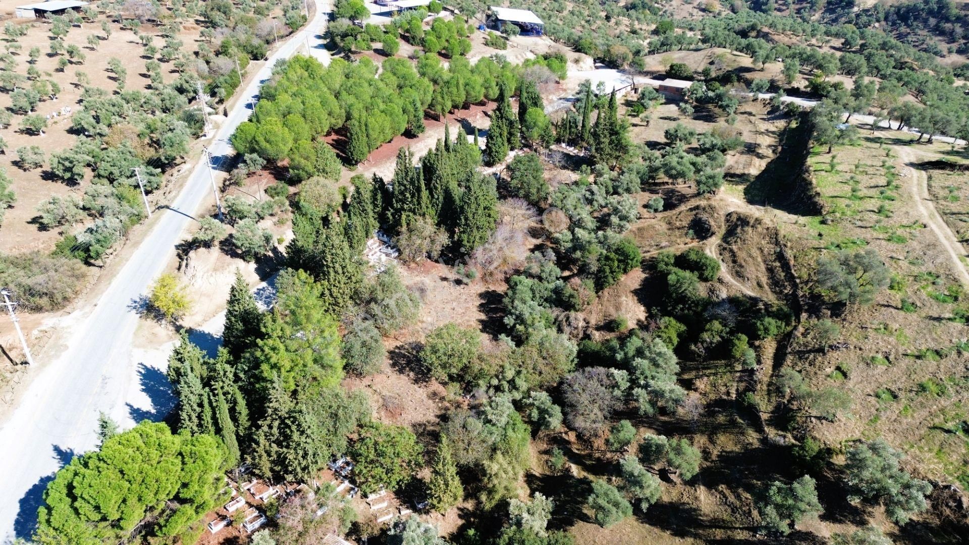 Sahibinden Satılık Çine Kasar'da 491m2 İmarlı Köy İçinde Arsa - Görsel 23