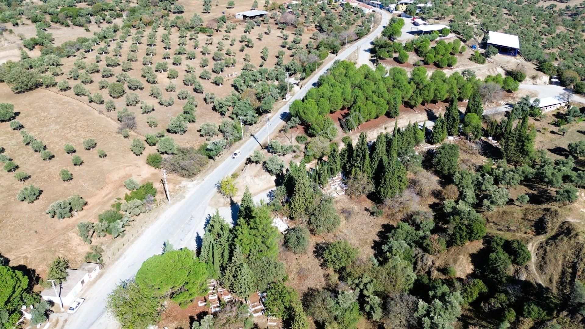 Sahibinden Satılık Çine Kasar'da 491m2 İmarlı Köy İçinde Arsa - Görsel 24